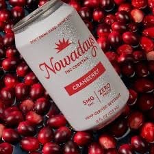 THC NOWADAY 5MG CRANBERRY 6PK